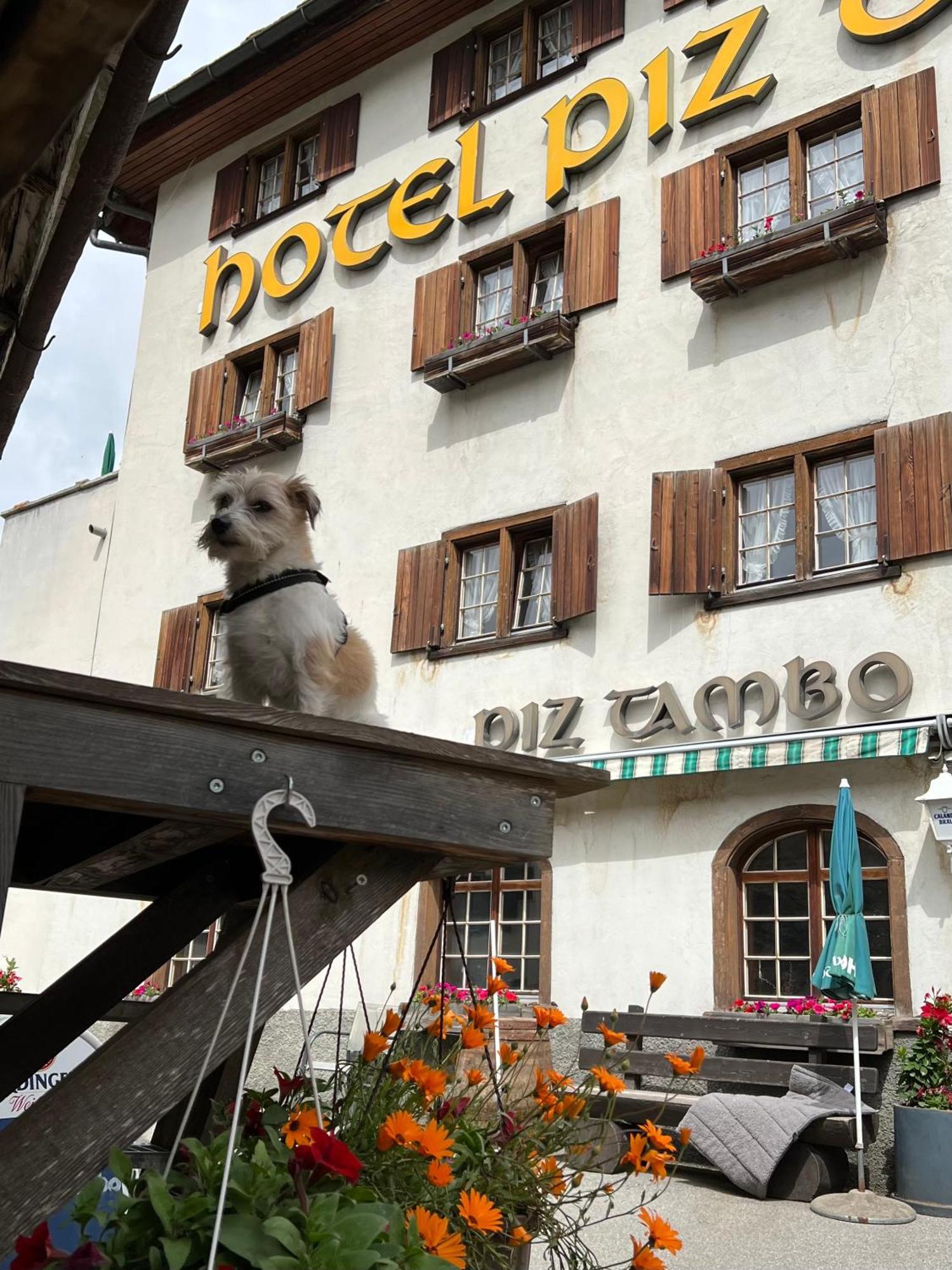 Piz Tambo 3* Splügen