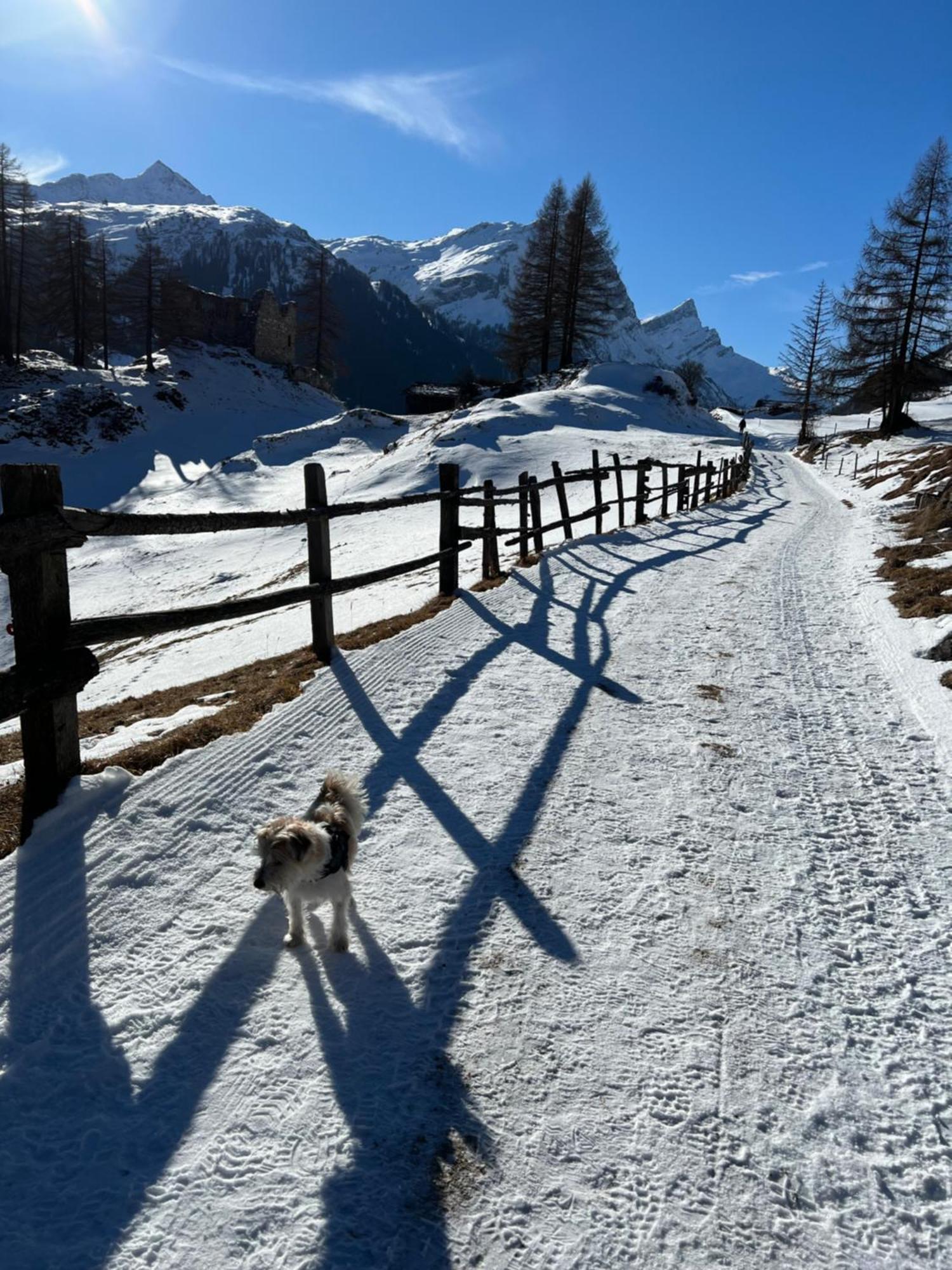Piz Tambo Splugen
